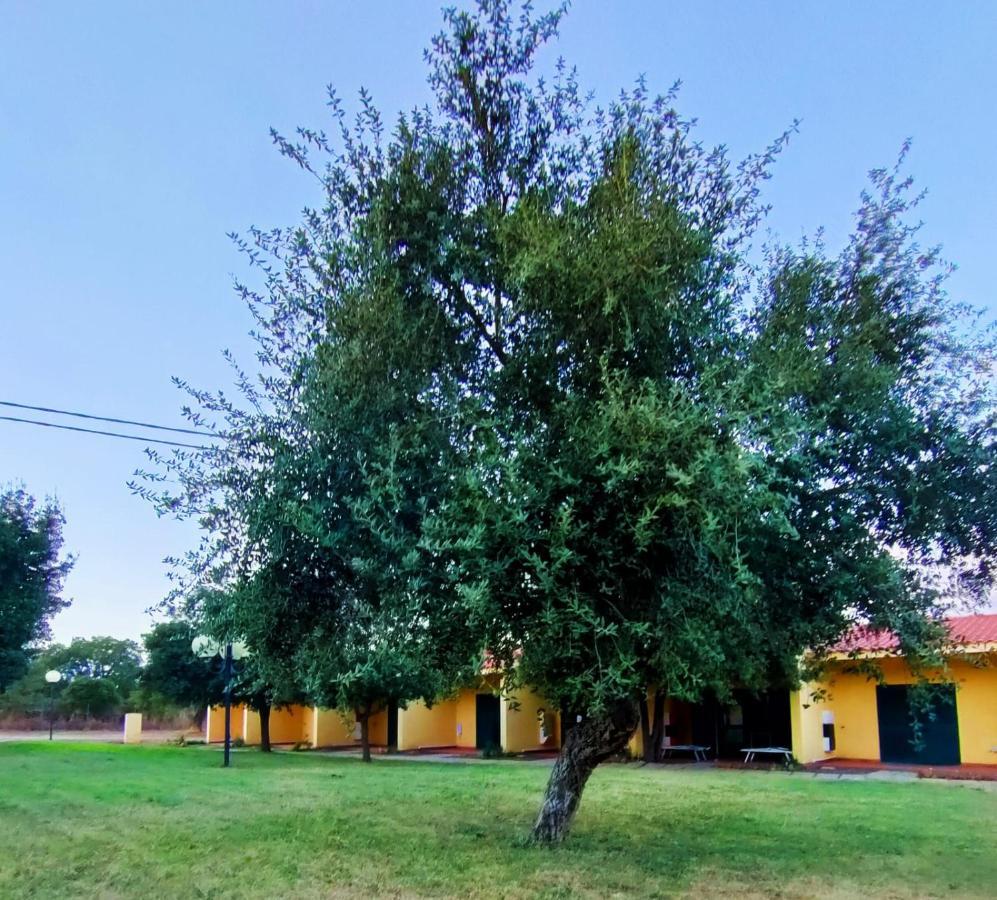 Nuraghe Ruiu Camping & Bungalow Norbello Kültér fotó