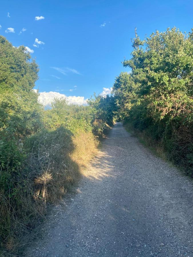 Nuraghe Ruiu Camping & Bungalow Norbello Kültér fotó