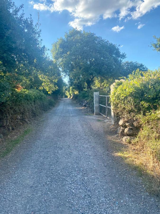 Nuraghe Ruiu Camping & Bungalow Norbello Kültér fotó