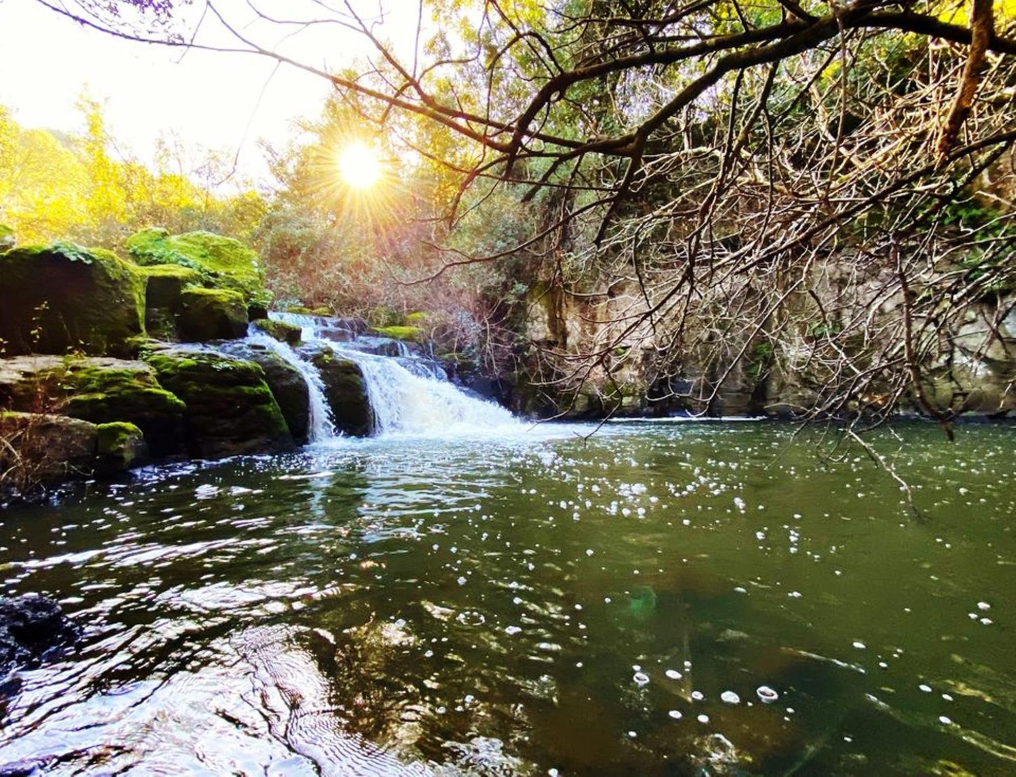 Nuraghe Ruiu Camping & Bungalow Norbello Kültér fotó
